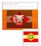 livro_braille_adaptacao_relevo_bandeira_sc