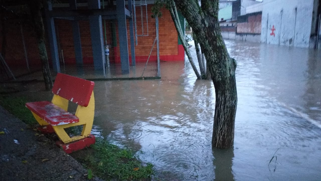 Campus alagado, árvoress com raízes submersas, banco de praça parcialmente submerso.