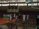 Parajasc 2009-1