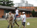 Aula demonstrativa de equoterapia no campo de futebol da Fundação