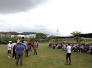 Aula demonstrativa de equoterapia no campo de futebol da Fundação