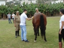 Aula demonstrativa de equoterapia no campo de futebol da Fundação