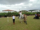 Aula demonstrativa de equoterapia no campo de futebol da Fundação