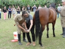 Aula demonstrativa de equoterapia no campo de futebol da Fundação