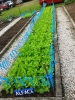 Horta da oficina de Jardinagem, Horticultura e Produção de Húmus
